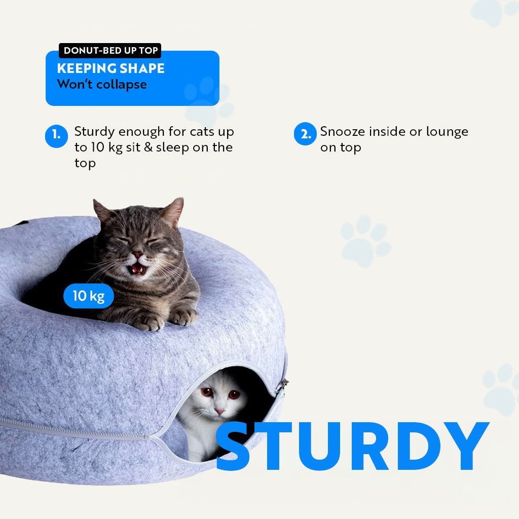 Gatolandia Big Donut