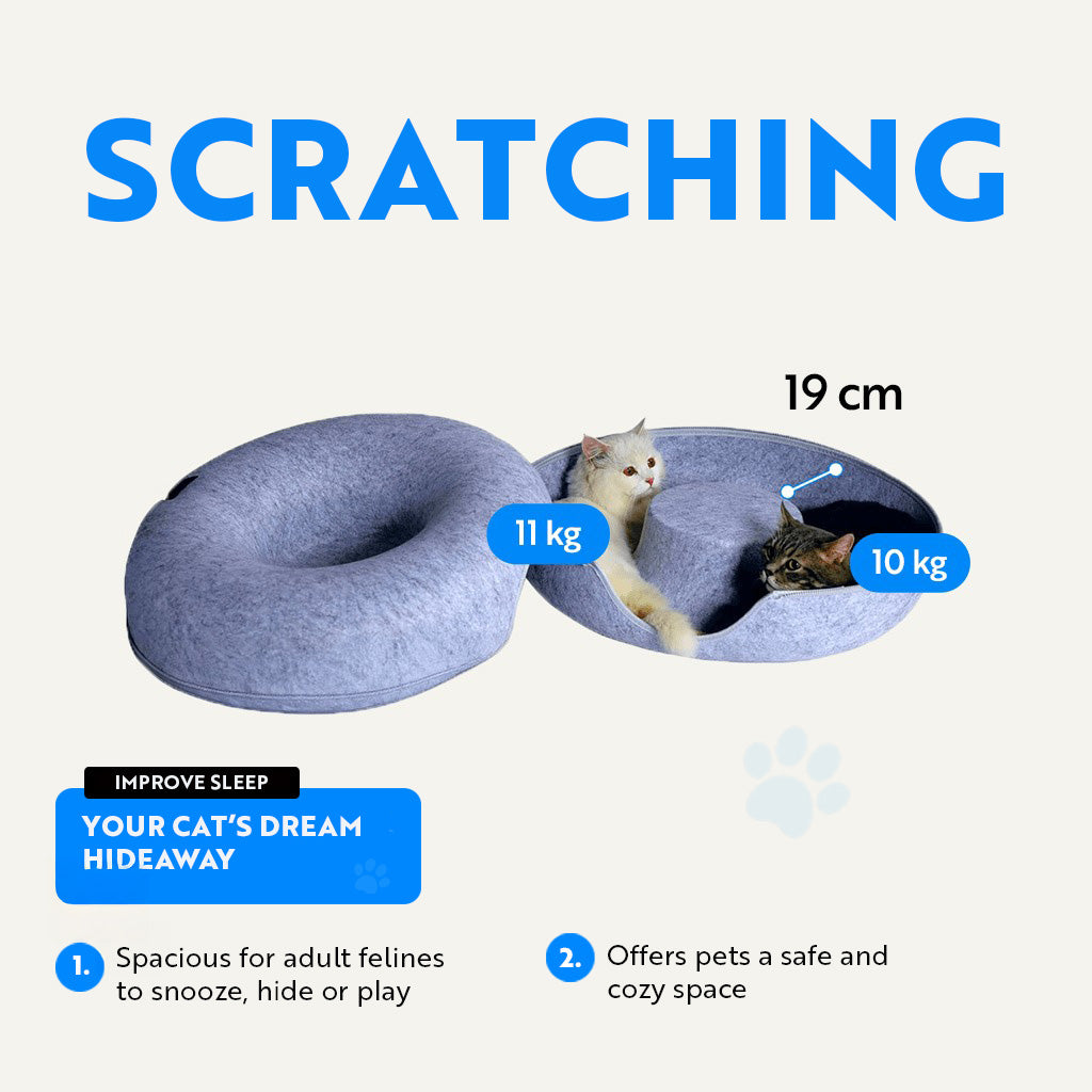 Gatolandia Big Donut